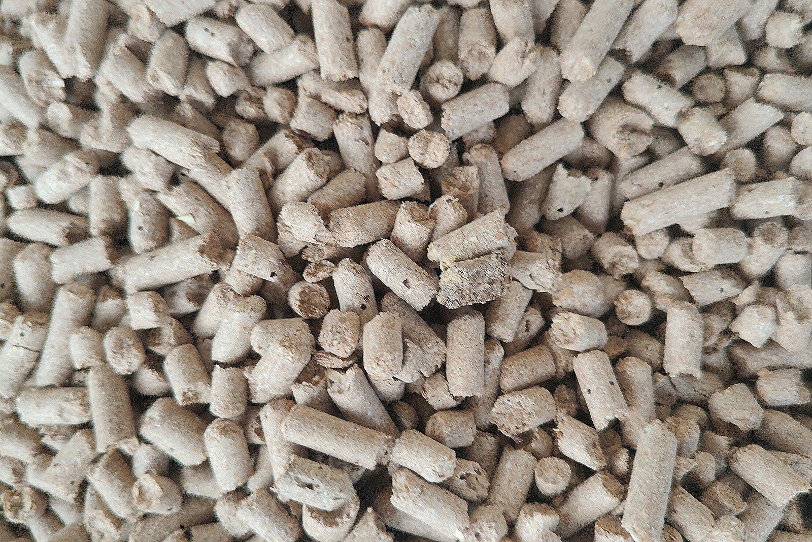 Pellets Woodstock Premium